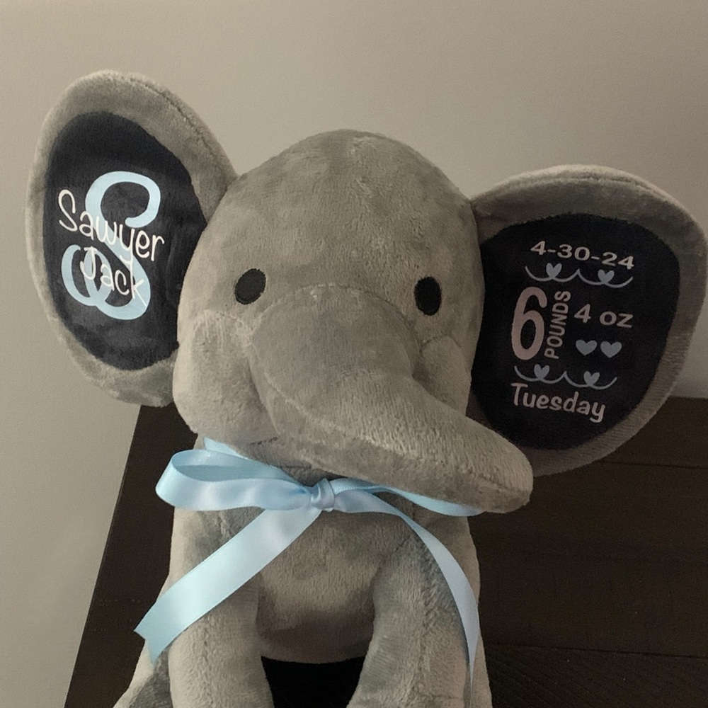 Birth Statistics Elephant - Picture 6 of 8